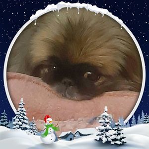 Meet your Posher, Beverley